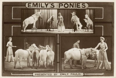 Emily Paulo and her performing trained ponies (b/w photo) بواسطة مصور انجليزى