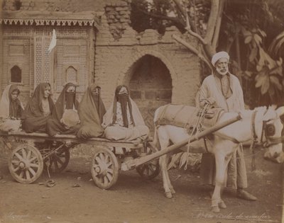 عربة تجرها الخيول ، القاهرة ، 1893 بواسطة مصور انجليزى