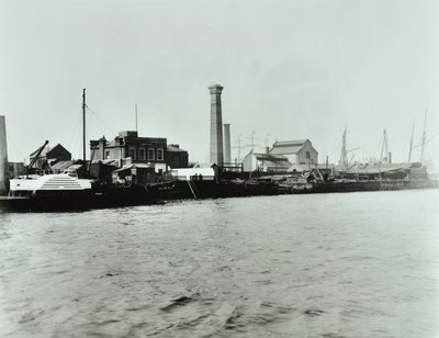 محطة ضخ جزيرة الكلاب: الخارج ، 1895 بواسطة مصور انجليزى