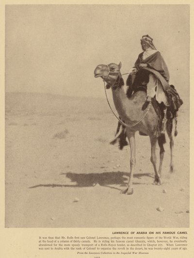  بواسطة مصور انجليزى