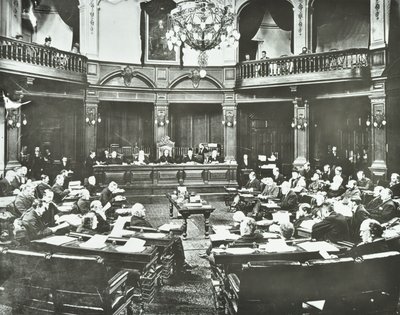 مجلس مدرسة لندن ، 1895 بواسطة مصور انجليزى
