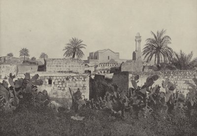 اللد ، اللد القديم للعهد القديم ، حيث أعاد الرسول بولس المرضى أينيس بواسطة مصور انجليزى