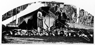 بطولات الصيد الهندية ، c.1870s بواسطة مصور انجليزى