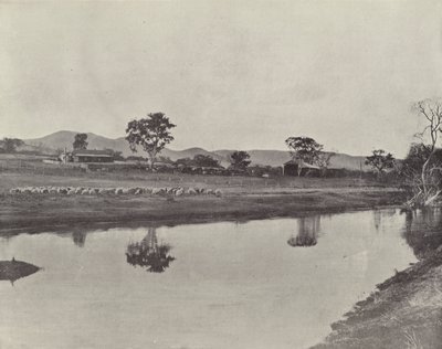 محطة Nemengha بواسطة مصور انجليزى