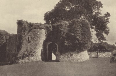  بواسطة مصور انجليزى