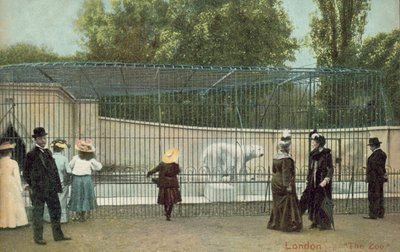 People visiting the polar bear enclosure at London Zoo (photo) بواسطة مصور انجليزى