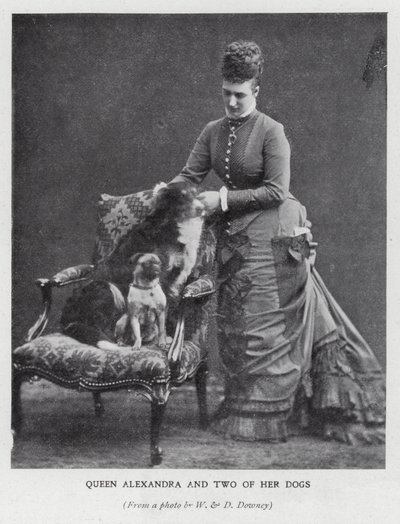 الملكة الكسندرا واثنين من كلابها (صورة b / w) بواسطة مصور انجليزى