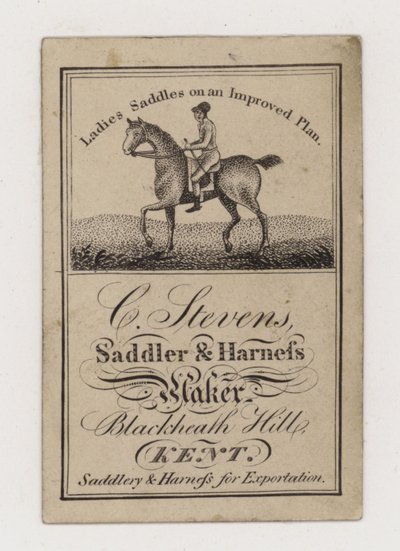 Saddler and Harness Maker، C Stevens، البطاقة التجارية بواسطة مصور انجليزى
