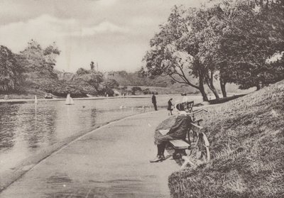 Sefton Park, Liverpool (b/w photo) بواسطة مصور انجليزى