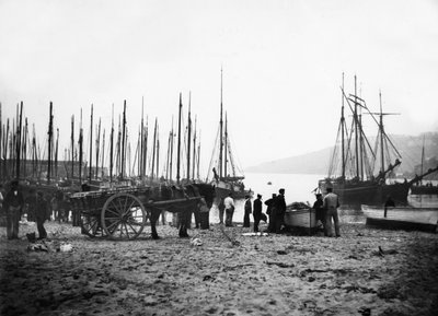 ميناء سانت آيفز يتطلع إلى خليج كاربيس ، 1880-99 بواسطة مصور انجليزى