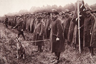 مراجعة Anzac على ساليسبري بلين: تعويذة أسترالية ، رسم توضيحي من أخبار الحرب المصورة ، 27 سبتمبر 1916 (صورة بني داكن) بواسطة مصور انجليزى