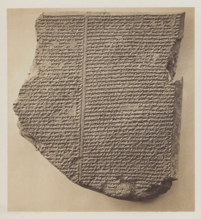  بواسطة مصور انجليزى