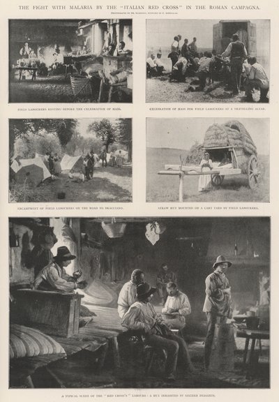 مكافحة الملاريا من قبل الصليب الأحمر الإيطالي في كامبانيا الرومانية بواسطة مصور انجليزى