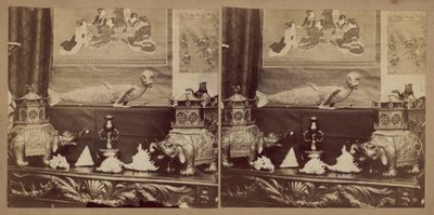 قرد سمكة اليابان بواسطة مصور انجليزى