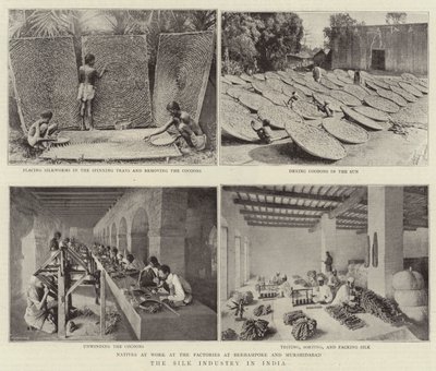 صناعة الحرير في الهند بواسطة مصور انجليزى