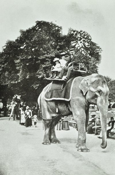 حدائق الحيوان ، ريجنتس بارك: ركوب الفيل ، لندن ، c.1895 بواسطة مصور انجليزى