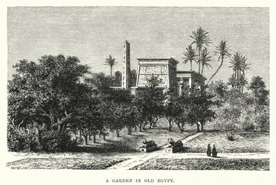 A Garden in Old Egypt (engraving) بواسطة مدرسة اللغة الإنجليزية