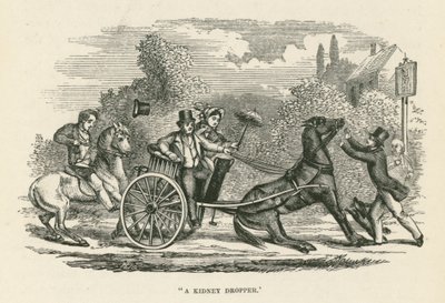 "قطارة الكلى" (نقش) بواسطة مدرسة اللغة الإنجليزية