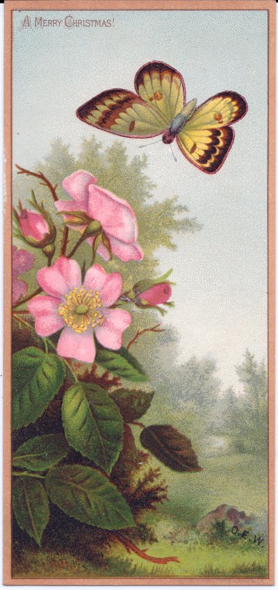 بطاقة عيد الميلاد الفيكتورية تصور فراشة وشجيرة من ورود الكلاب ، c.1880 بواسطة مدرسة اللغة الإنجليزية