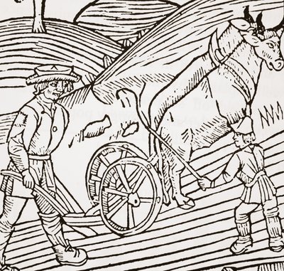 زوج من الثيران يُرْفَع إلى محراث ، صفحة عنوان من John Fitzherberts Boke of Agriculturery ، الحانة الأولى. 1523 بواسطة مدرسة اللغة الإنجليزية
