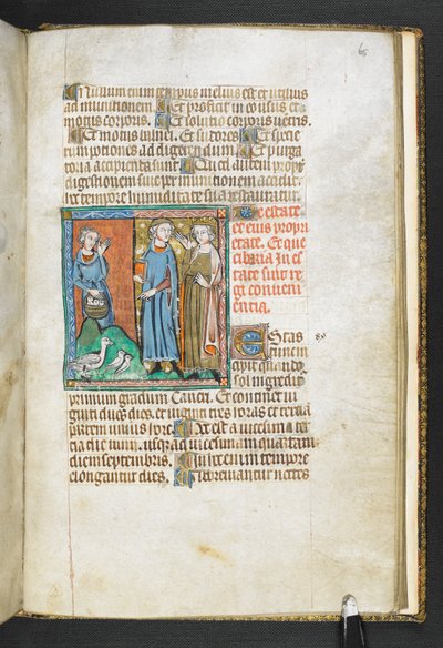 أضف MS 47680، f.65r أرسطو مشيرًا إلى الطيور التي تم إحضارها إلى الملك ، من Secretum Secretorum ، حوالي 1326-27 (رق) بواسطة مدرسة اللغة الإنجليزية