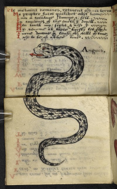 إضافة MS 57312 f.4 كتاب اللعبة (الحبر والألوان على ورق) بواسطة مدرسة اللغة الإنجليزية