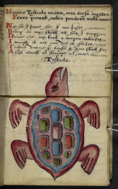 أضف كتاب اللعبة MS 57312 f.5 (حبر وألوان على ورق) بواسطة مدرسة اللغة الإنجليزية