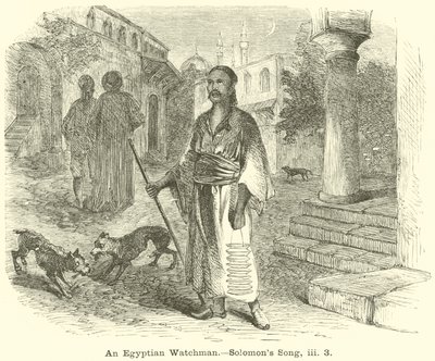 حارس مصري ، أغنية سليمان ، iii ، 3 بواسطة مدرسة اللغة الإنجليزية