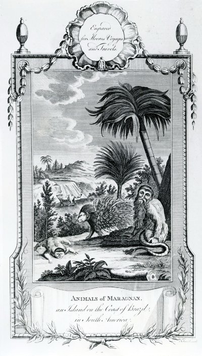 حيوانات Maragnan ، صورة مأخوذة من Moores Voyages and Travels ، 1778 بواسطة مدرسة اللغة الإنجليزية