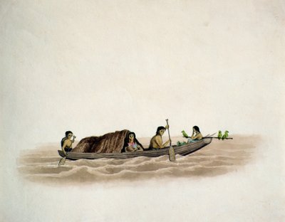 Arawaka Indian-Demerara (مرحاض على ورق) بواسطة مدرسة اللغة الإنجليزية