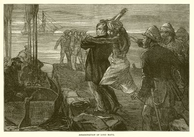 اغتيال اللورد مايو (1872) بواسطة مدرسة اللغة الإنجليزية