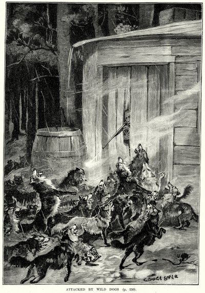 هجوم الكلاب المتوحشة (نقش) بواسطة مدرسة اللغة الإنجليزية