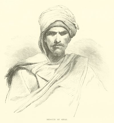 بدو سيناء بواسطة مدرسة اللغة الإنجليزية