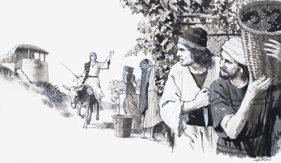 كرم الكتاب المقدس بواسطة مدرسة اللغة الإنجليزية