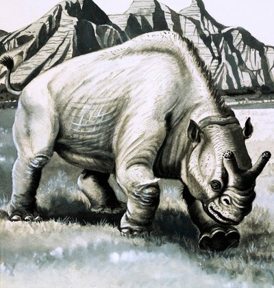 Brontotherium من عصر Oligocene بواسطة مدرسة اللغة الإنجليزية