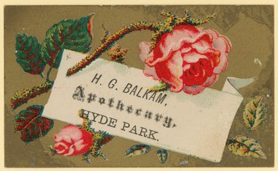 بطاقة عمل لـ HG Balkam و Apothecary و Hyde Park (chromo) بواسطة مدرسة اللغة الإنجليزية