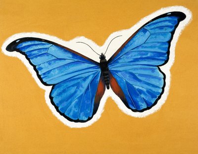 فراشة بواسطة مدرسة اللغة الإنجليزية