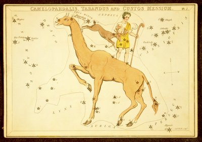 Camelopardalis ، Tarandus و Custos Messium ، حانة. 1825 (نقش ملون يدوي) بواسطة مدرسة اللغة الإنجليزية