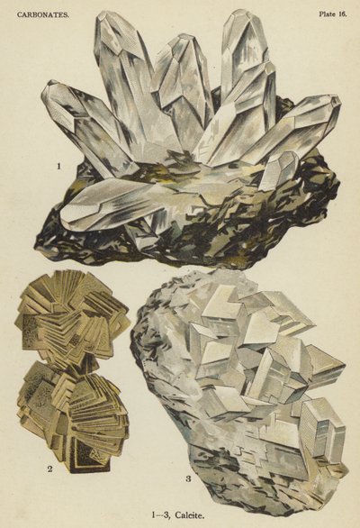 Carbonates, calcite (colour litho) بواسطة مدرسة اللغة الإنجليزية