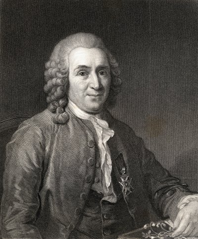 كارل فون ليني أو لينيوس (1707-78) من معرض الصور ، نُشر عام 1833 بواسطة مدرسة اللغة الإنجليزية