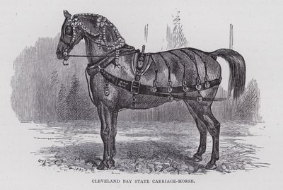 Cleveland Bay State Carriage-Horse (engraving) بواسطة مدرسة اللغة الإنجليزية