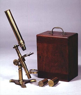 مجهر مركب أحادي ، مصنوع من قبل Amadio Optician ، لندن ، c.1860 (نحاس وشيلاك) بواسطة مدرسة اللغة الإنجليزية