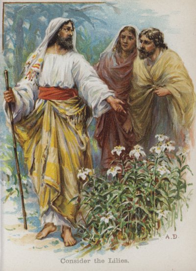 Consider the Lilies (chromolitho) بواسطة مدرسة اللغة الإنجليزية