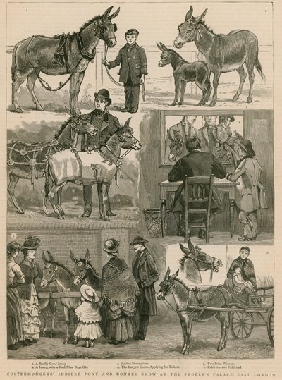 كوسترمونغونز اليوبيل المهر وعرض الحمار في قصر الشعوب ، شرق لندن بواسطة مدرسة اللغة الإنجليزية