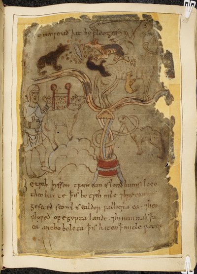 Cotton Vitellius A. XV ، f.101r ، ثلاثة نمل شبيه بالكلاب يهاجمون جملاً مربوطًا ، رجل يرتدي سترة ، رسم توضيحي من بياولف ، من "مخطوطة Nowell" (حبر على ورق) بواسطة مدرسة اللغة الإنجليزية