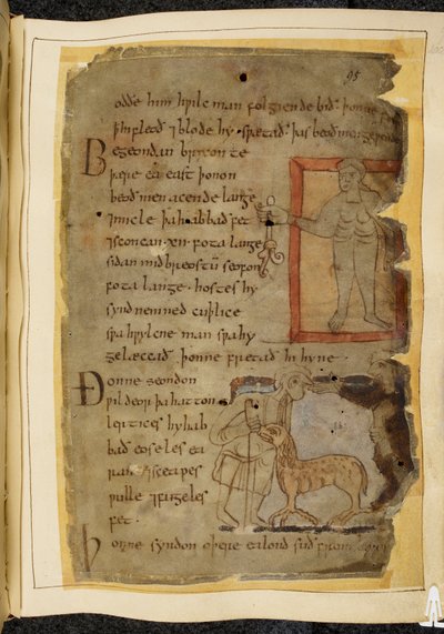Cotton Vitellius A. XV، f.102، رجل عار يحمل نبات؛ رجلان يتحدثان ، وبينهما ليرتيكس ، وحش شبيه بالأغنام ، رسم توضيحي من بيوولف ، من "مخطوطة نويل" (حبر على ورق) بواسطة مدرسة اللغة الإنجليزية