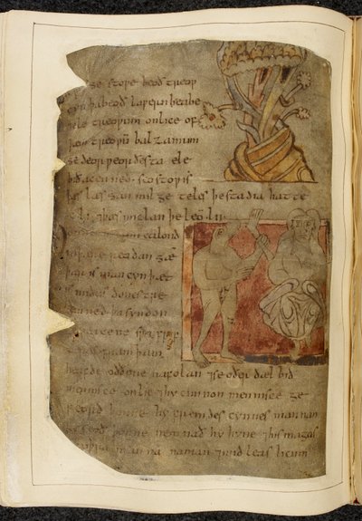 Cotton Vitellius A. XV f.103v، شجرة ينمو منها البلسم؛ دونستر ، رجل برأس وحش ، على اليسار ممسكًا برجل ورجل بشري ، وشخص على اليمين ، رسم توضيحي من بيوولف ، من "مخطوطة نويل" (حبر على ورق) بواسطة مدرسة اللغة الإنجليزية