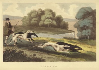 Coursing (coloured engraving) بواسطة مدرسة اللغة الإنجليزية