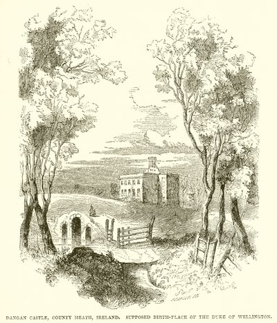 قلعة Dangan ، Country Meath ، أيرلندا. مكان الميلاد المفترض لدوق ويلينغتون بواسطة مدرسة اللغة الإنجليزية