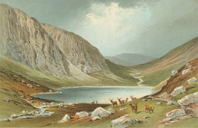 Dhu Loch - لوخ نا غار بواسطة مدرسة اللغة الإنجليزية